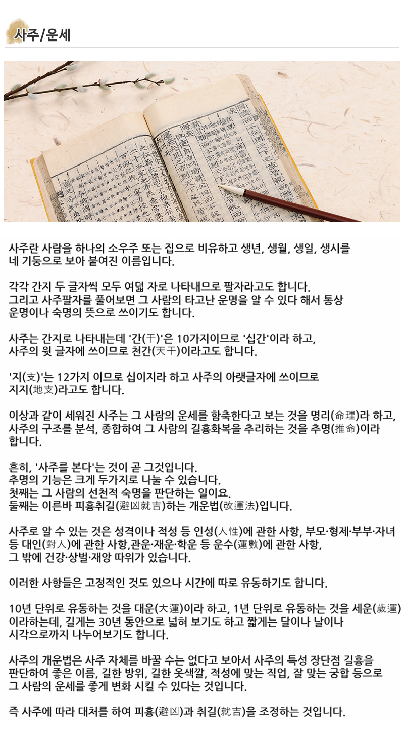 무궁화철학_내용